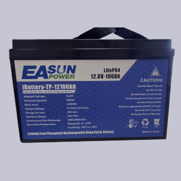 Battery Lifepo4 100A 12v complete with BMS